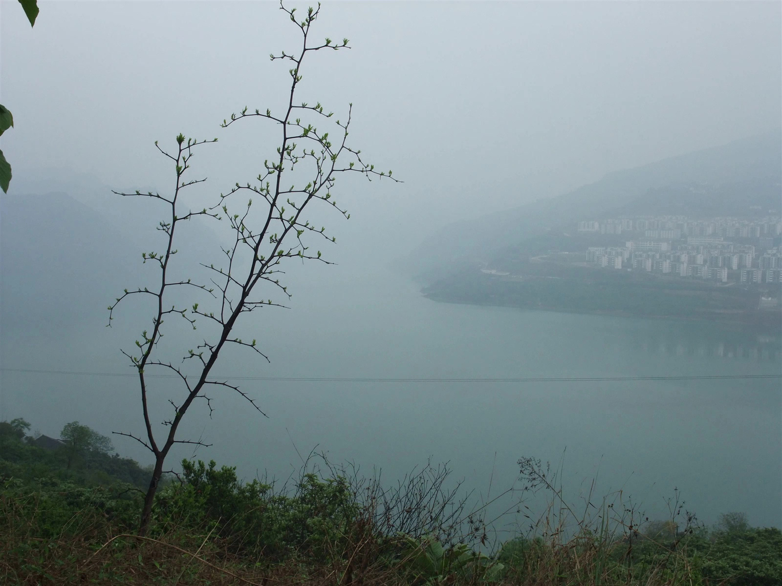 回老家扫墓-3 — 屏山老县城