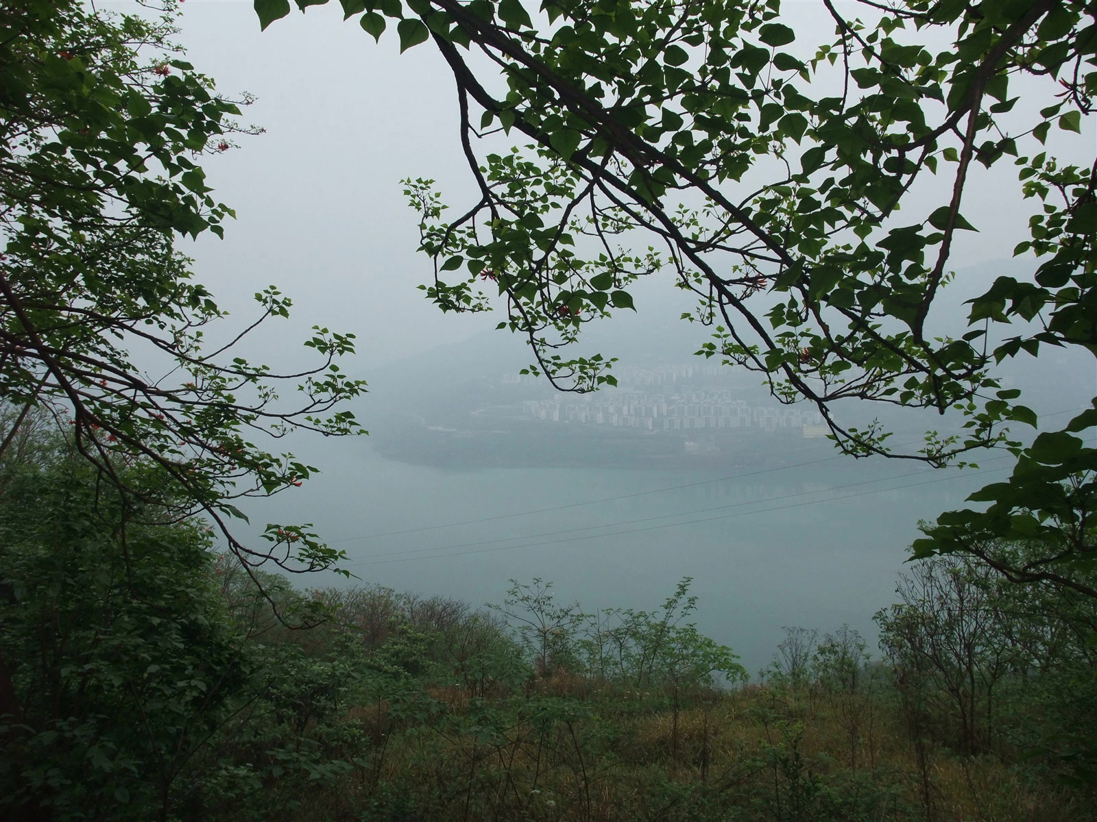 回老家扫墓-5 — 屏山老县城