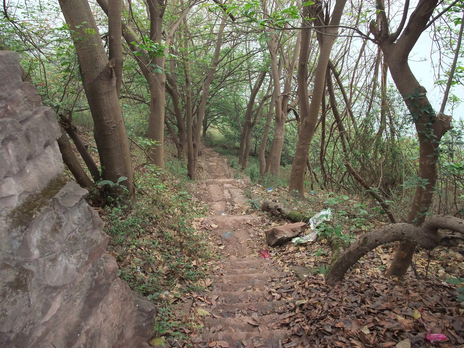 回老家扫墓-6 — 屏山老县城