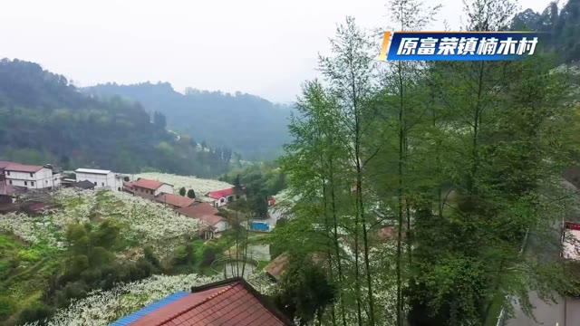 屏山县混剪