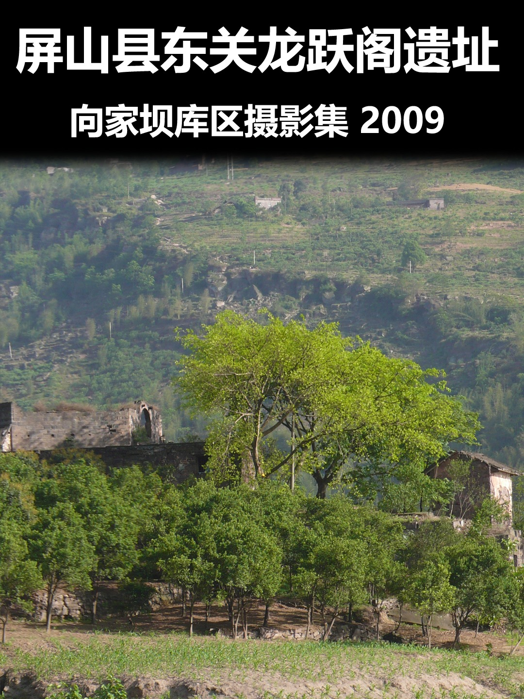 屏山县东关龙跃阁遗址