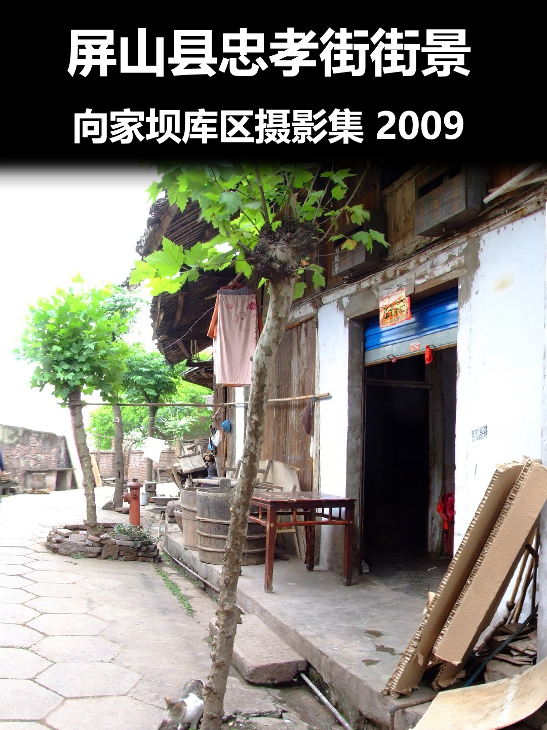 屏山县忠孝街街景1