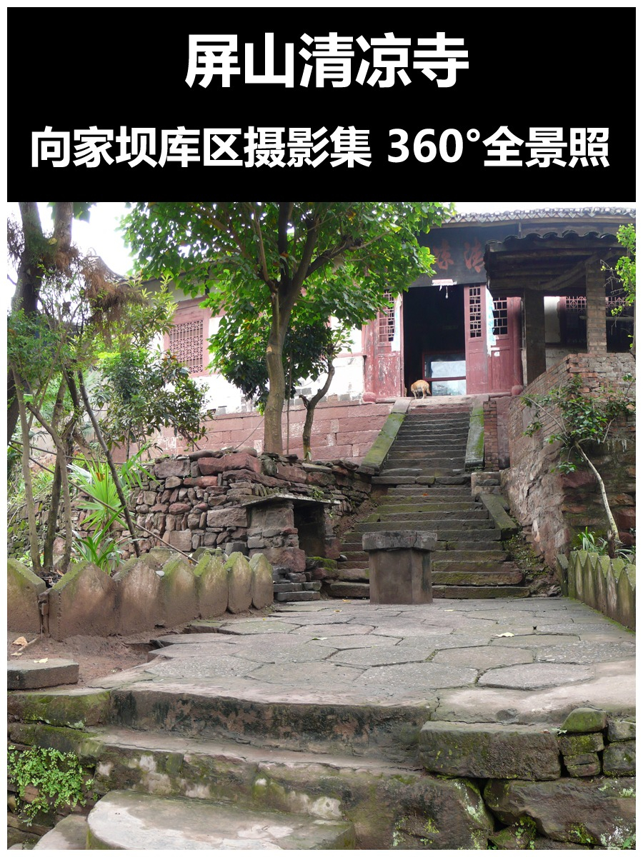 屏山清凉村3